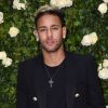 Neymar rebate seguidor que o chamou de mimado em post no Instagram, em 9 de novembro de 2018