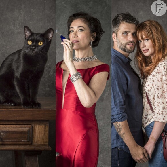Estreia de 'O Sétimo Guardião': gato Leon, vilã e casal Luzbriel são destaques nesta segunda-feira, dia 12 de novembro de 2018