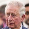 'Durante a tour, Harry e sua esposa receberam incontáveis sugestões de como nomear o bebê que vem', declarou o príncipe Charles
