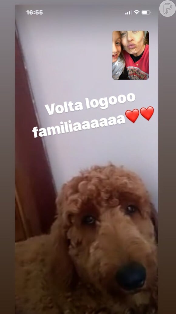 Gringa apareceu em chamada de vídeo com Angélica e a filha