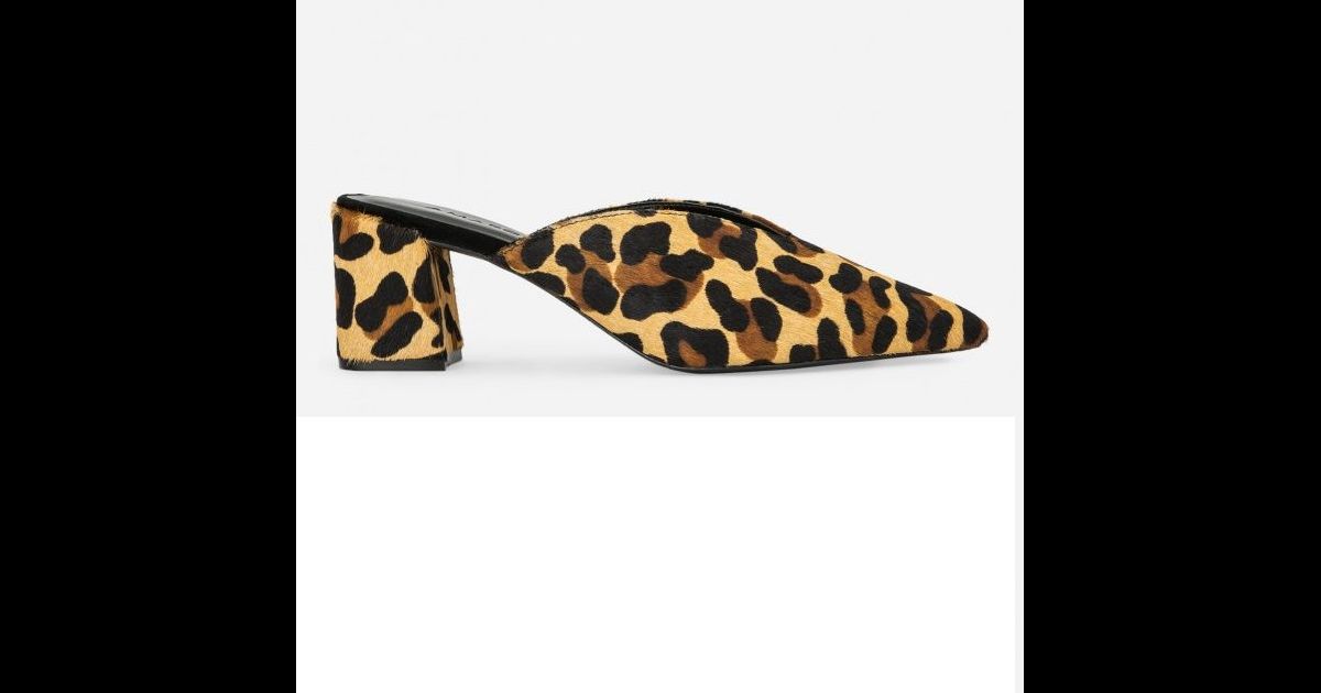 scarpin estampa de onça