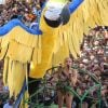 Claudia Leitte agitou multidão no segundo dia de carnaval em Salvador