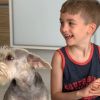 O filho de Ana Hickmann, Alexandre, de 5 anos, estreou no YouTube com um video sobre dinossauros no canal da mãe.