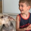 Filho de Ana Hickmann faz vídeo para o canal da mãe aos 5 anos: 'Mini YouTuber'
