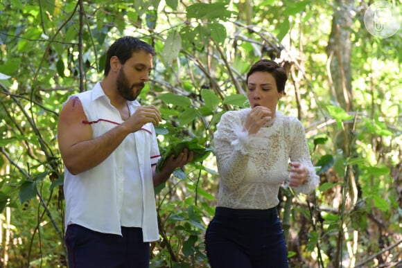 Sophia (Camila Rodrigues) e Antonio (Felipe Cunha) sofreram acidente de helicóptero ma novela 'Topíssima'. Empresária vai se ver obrigada a comer larvas