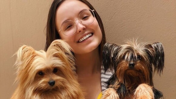 Treino com pet! Larissa Manoela encanta ao fazer exercício com cachorro no colo