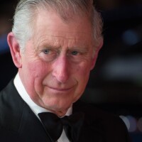 Príncipe Charles está com coronavírus mas Palácio afasta complicação: 'Saudável'