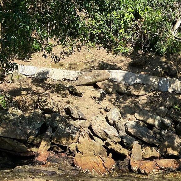 Bruna Marquezine, de biquíni, se pendura em árvore durante viagem. Vídeo!