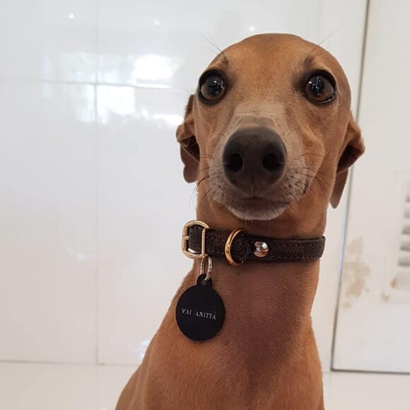 'Eu acordei assim', disse Anitta em encontro com Plínio