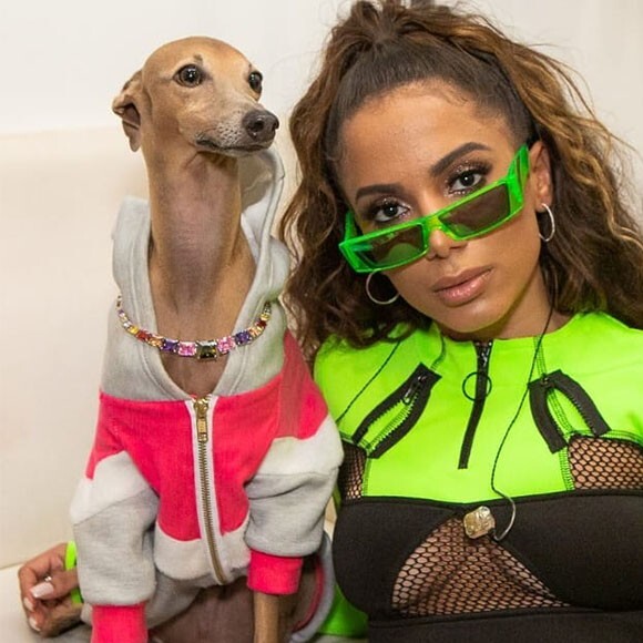 Reação de Plínio em encontro com Anitta emociona web