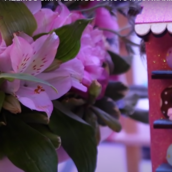 Decoração da festa de Maria Alice era inspirada em donuts