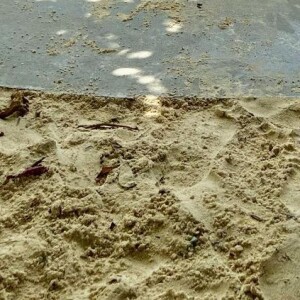 Momentos antes de embarcar, Marília Mendonça publicou um vídeo nas redes sociais