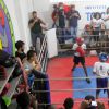 Malvino Salvador assiste no sábado, 29 de novembro de 2014, uma luta de boxe no Morro do Vidigal, na Zona Sul do Rio de Janeiro