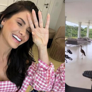 Andressa Suita é acordada por animal silvestre que invadiu sua casa e reclama que barulho acordou seus filhos