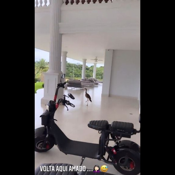 Casa de Andressa Suita foi invadida por uma seriema, de acordo com internautas, e não por um pato