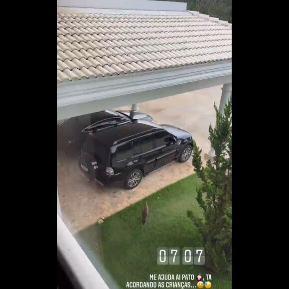 Andressa Suita mostrou o animal próximo a um dos veículos da família, cantando bem alto