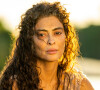 Novela 'Pantanal': saiba significado da expressão 'boi marruá' e como Maria (Juliana Paes) vira onça