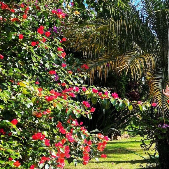 Rita Lee descobriu o câncer no pulmão em estágio inicial