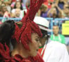 Paolla Oliveira não usou penas em fantasia de Carnaval, era um material artesanal