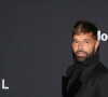 Ricky Martin: segundo jornais locais, o cantor não aceita o término com um amante