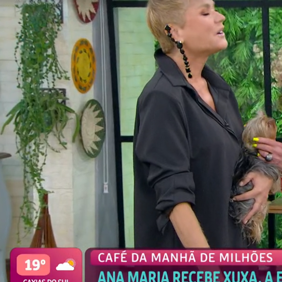 No 'Mais Você', Xuxa marcou presença na companhia da cadelinha Doralice, que ganhou carinho de Ana Maria Braga