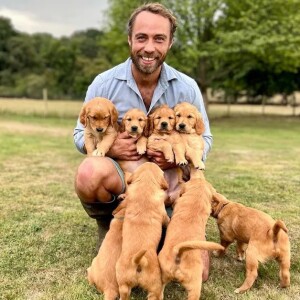 James Middleton, irmão de Kate Middleton, deu o nome de um de seus cachorros de 'Bertie', apelido do pai da Rainha Elizabeth II