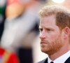 Príncipe Harry deve fazer um visita de 48 horas ao Reino Unido para marcar presença na coroação do pai