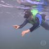 Angélica leva Ricardo Tozzi para mergulhar com tubarões no programa 'Estrelas' exibido neste sábado, 10 de janeiro de 2015
