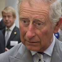 Rei Charles III posta foto com Harry no Dia dos Pais e dá novo sinal de tentativa de reconciliação com filho caçula