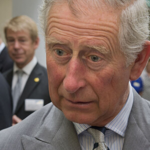 Rei Charles III enviou sinal para o filho Harry ao resgatar foto de 1997 no Dia dos Pais