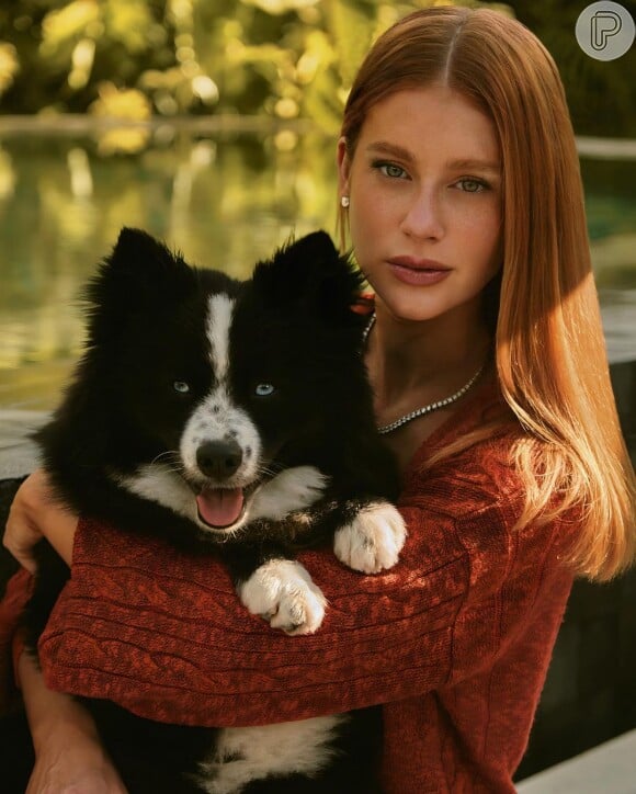 Marina Ruy Barbosa fez uma publicidade com o seu pet, o cachorro chamado Sig, e não é que ele aprendeu a fazer carão como a dona?