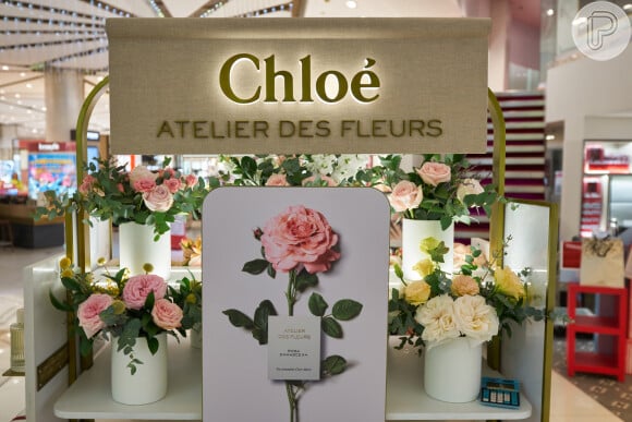 Quer comprar um perfume Chloé mas não tem dinheiro? Confira as melhores opções de fragrâncias similares e contratipos que têm aromas bem parecidos com o produto importado