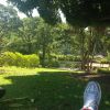 Xuxa publica foto relaxando em campo do Spa