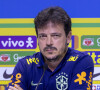 Fernando Diniz é o técnico da Seleção brasileira no jogo Colômbia x Brasil nesta quinta-feira 16 de novembro de 2023 às 21h
