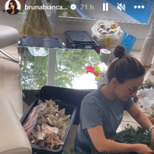 Bruna Biancardi mostrou para o seus seguidores como foi para montar a árvore de Natal em sua casa este ano