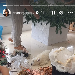 Bruna Biancardi trouxe uma equipe para montar a árvore de Natal em sua casa