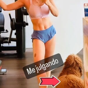 Angélica recebeu julgamentos de sua cachorra em publicações recentes feitas no Instagram