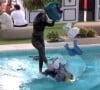 Leidy ELin jogou roupas de Davi na piscina durante discussão