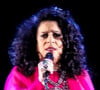 Dívida de Gal Costa vem à tona e gera nova rixa entre filho, Gabriel, e suposta viúva da cantora, Wilma Petrillo. Aos detalhes!