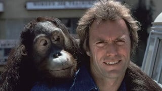 'Todo mundo me implorou para não fazer aquele filme': Clint Eastwood ignorou até seu agente e acabou estrelando o maior sucesso de sua carreira