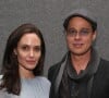 Dois dos seis filhos de Angelina Jolie e Brad Pitt já tiraram sobrenome do pai, e agora Shiloh quer fazer o mesmo