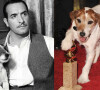 Uggie é o famoso cão do filme 'O Artista'