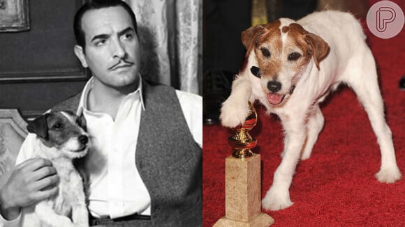 Uggie é o famoso cão do filme 'O Artista'