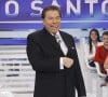 Aviãozinho de papel, dinheiro para o público e mais: internauta revela bastidores que você não conhecia de Silvio Santos na TV