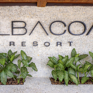 O Albacoa Resort, o complexo cenográfico, conta com recepção, o restaurante Voilà Violeta, e uma cozinha industrial funcional, além do escritório e de set multiuso, que pode se adaptar a diferentes cenários, como uma capela ou dormitório de funcionários