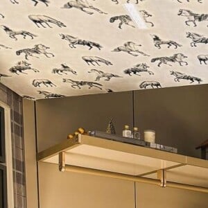 Flacidez de Virgínia Fonseca devido à gravidez está sendo tratada com diversos procedimentos, incluindo o radiofrequência monopolar e ultrassom microfocado