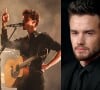 Shawn Mendes dedica musica especial à Liam Payne em show de Nova York e web reage: 'Que dor'