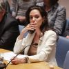 Angelina Jolie discursou a favor dos refugiados da Síria em reunião da ONU, em Nova York