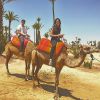 O filhos de Claudia Raia, Enzo e Sofia, posam em cima de camelos em passeio pelo Deserto do Saara