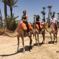 Claudia Raia passeia com os filhos em viagem ao Marrocos: 'Em cima do camelo!'